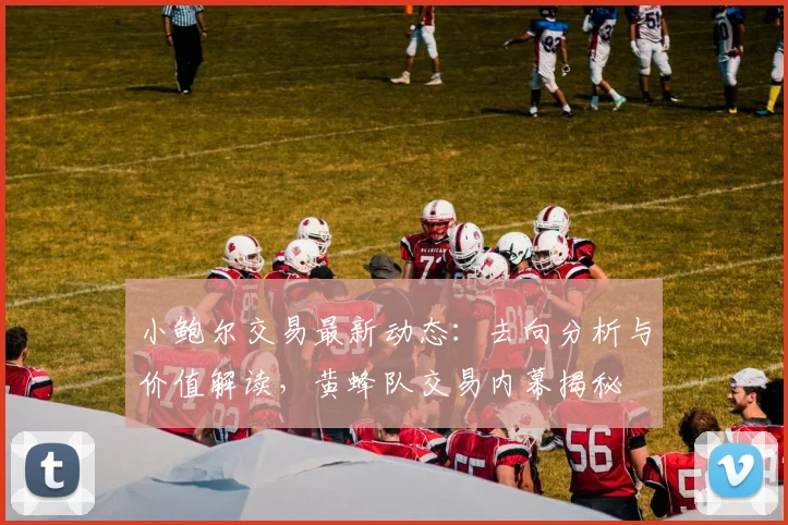 小鲍尔交易最新动态：去向分析与价值解读，黄蜂队交易内幕揭秘