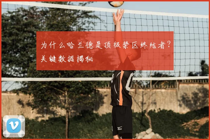 为什么哈兰德是顶级禁区终结者？关键数据揭秘